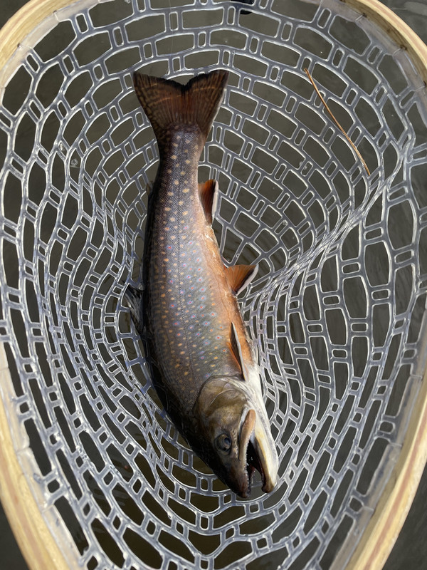 C641DCFD-C4E5-4A98-8513-71FC5F4D6294