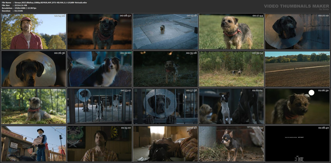 Strays.2023.BluRay.1080p.REMUX.AVC.DTS-HD.MA.5.1-LEGi0N-Vietsub.mkv