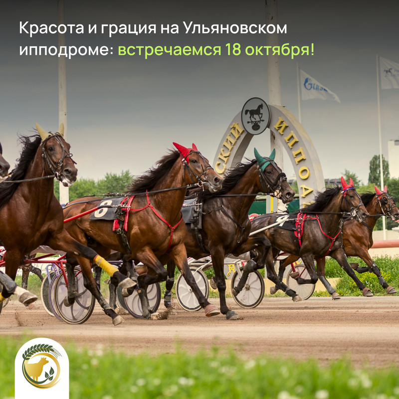 Праздник рысистого коневодства