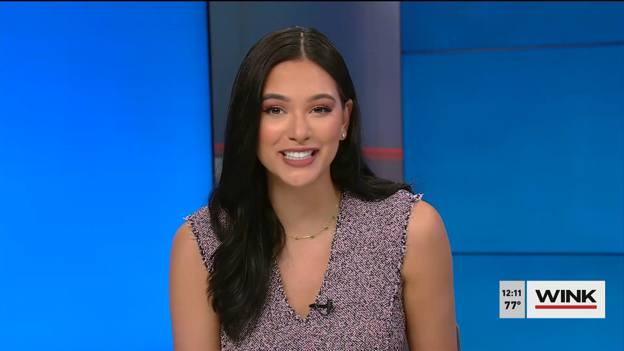 01.12 - 17.00.00 - The WINK Noon News  ᴺᵉʷ. Midday news update..ts_snapshot_17.48.196