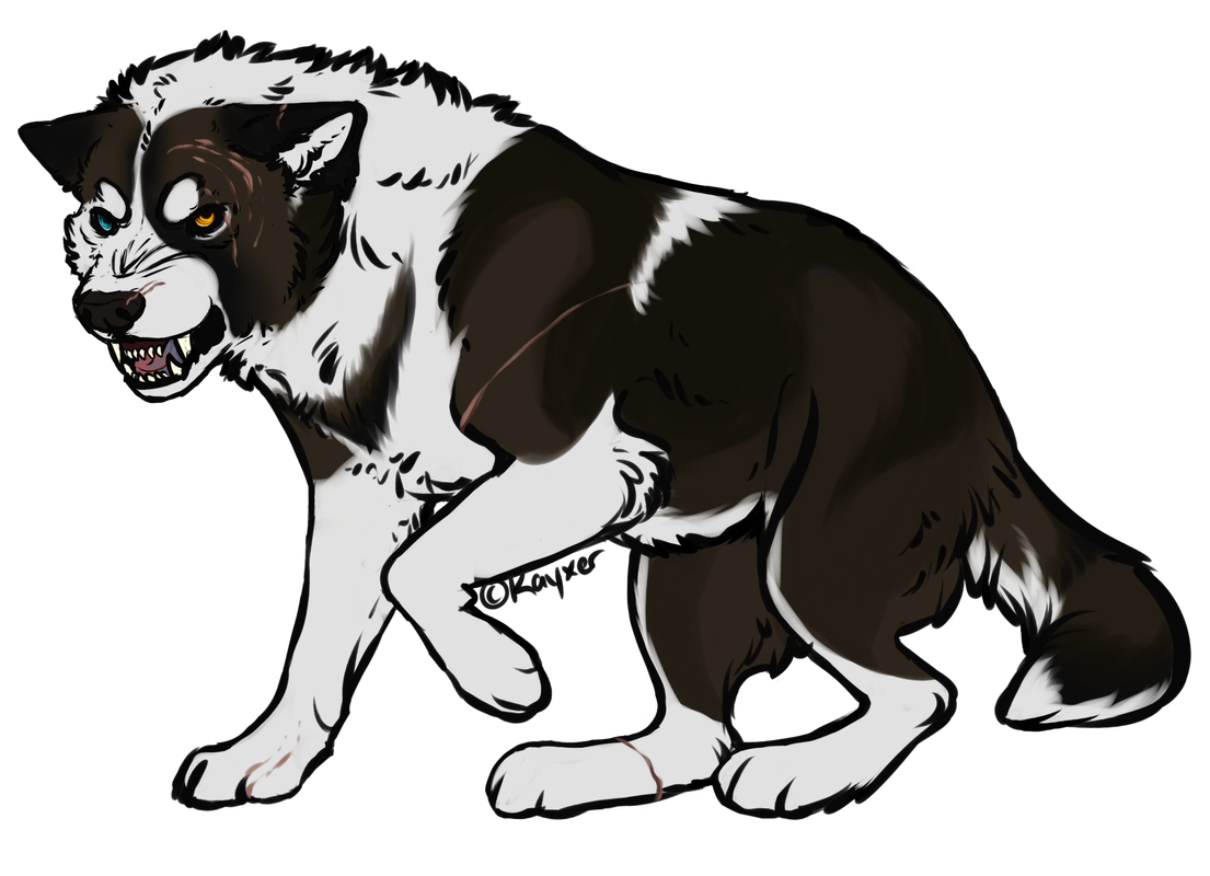 3900328_XSg6jHZFvGSH1Rd