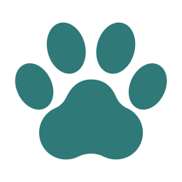 Medium paw print