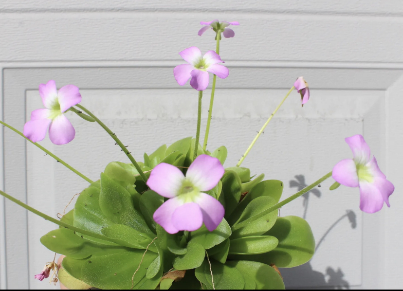 FB1F8393-4243-41A6-AA83-29BA4DD131CF