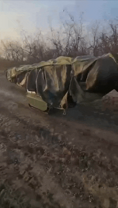 https://i.postimg.cc/nV3WJg69/video-2026-06-22-04-00-00-(1).gif