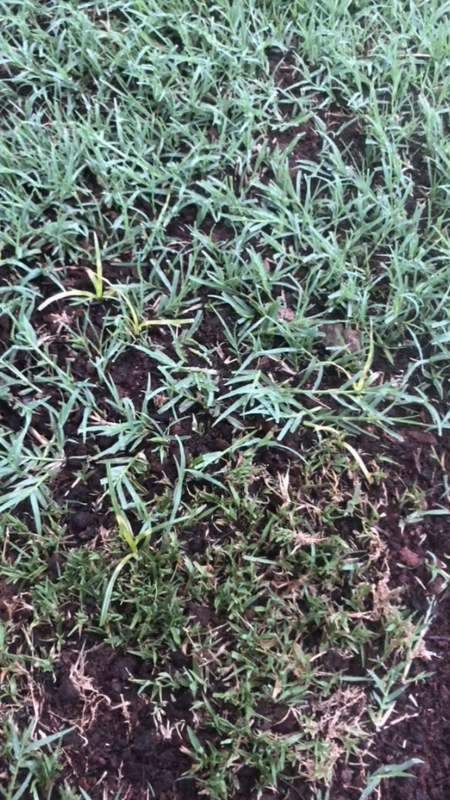 6C5C3D2E-83E8-4495-A459-06F45CCA07D2