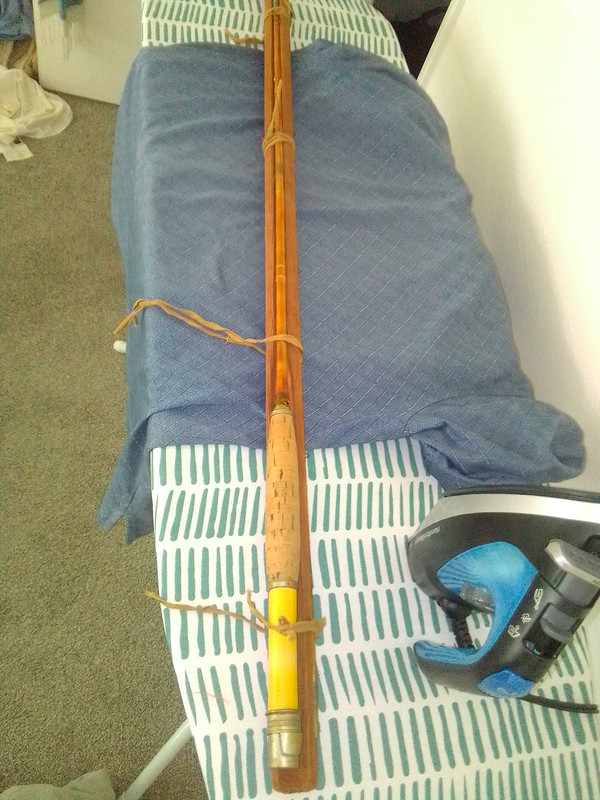 IMG_20240331_110459 (1)