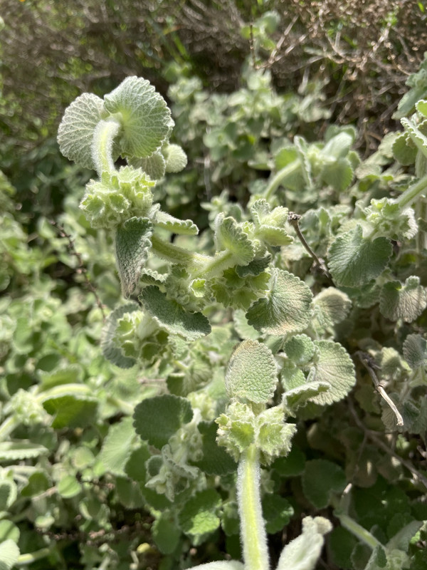 3B841342-5ADB-4FAE-9EB5-6756FF0A6986