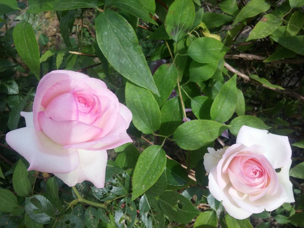 20190501_164217