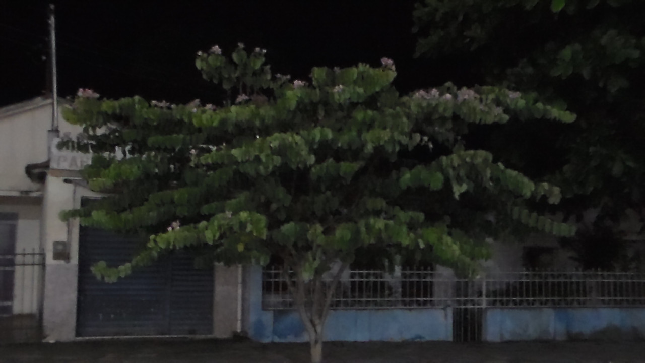 20.1.dream shatterer I (looks so much better from inside the bus emote boca em slash)