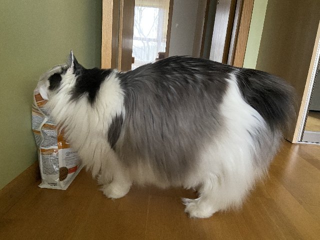 19-CCD234-C8-CC-4725-B28-E-6-F8-FC14-FE4