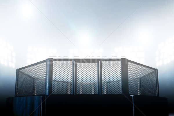 8586886-stock-photo-mma-cage-night.jpg