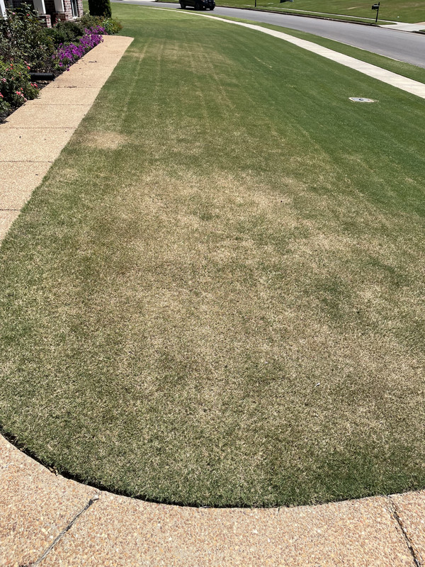 B9795069-F480-439F-AEC3-6F2E690B4941