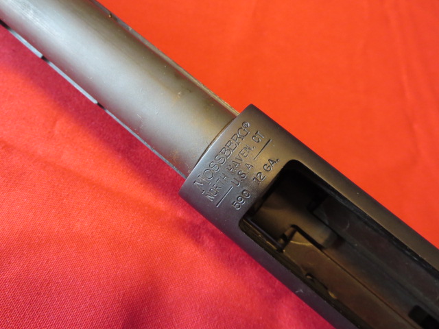 Waff-ank-Clearwater-008