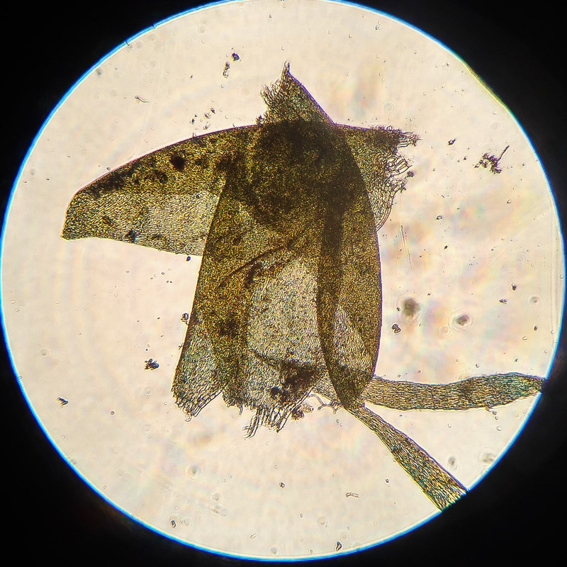 IMG 20250616 215841 HDR