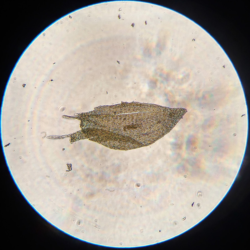 IMG 20250616 215701 HDR