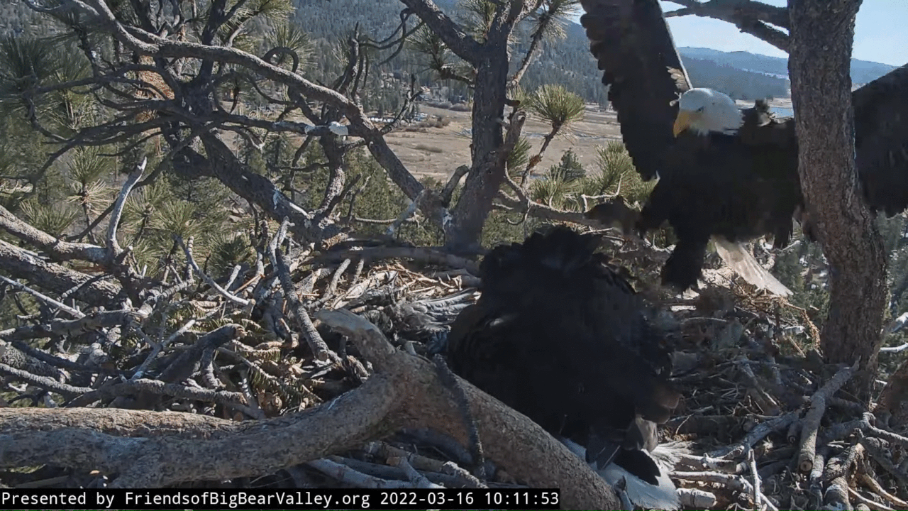 Webp.net-gifmaker (6)