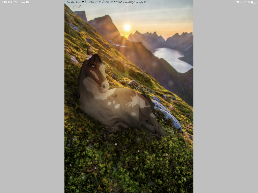 8CD80753-6441-4997-B1BF-9951A24320E4