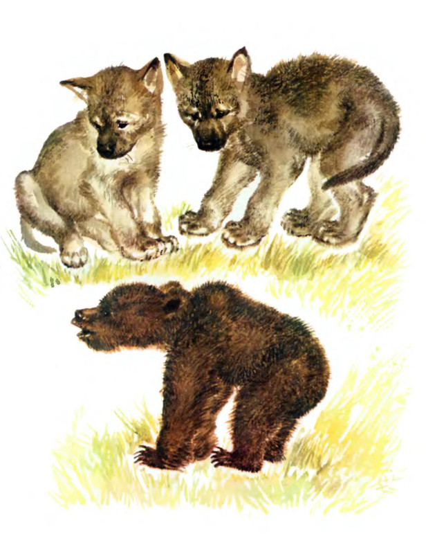 p0009