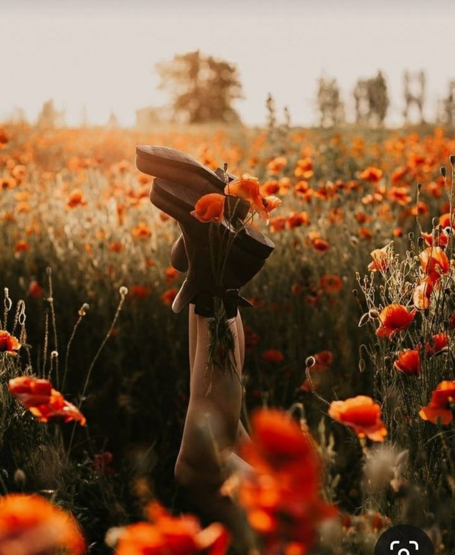 Screenshot_20230402_235723_Pinterest