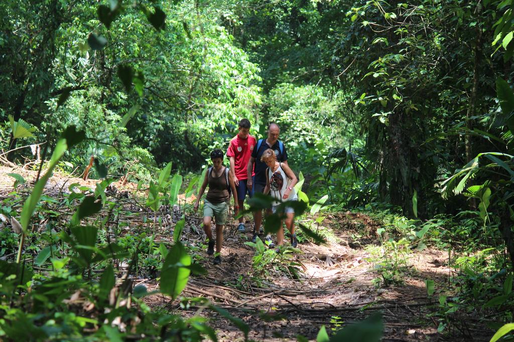 DE TORTUGAS Y PEREZOSOS. COSTA RICA 2019 - Blogs of Costa Rica - DIA 6: REFUGIO NACIONAL GANDOCA-MANZANILLO (11)