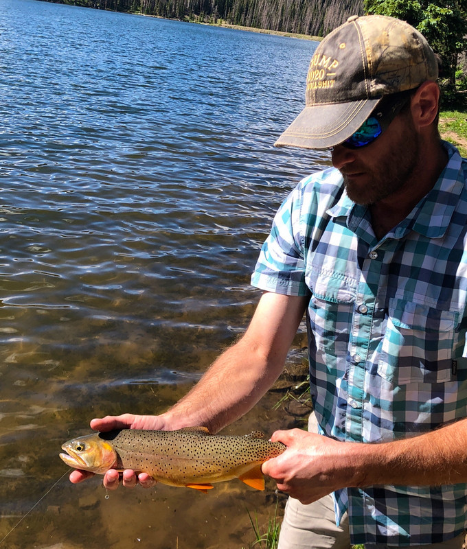 D64C2122-7632-4120-BD5C-709424884AF3