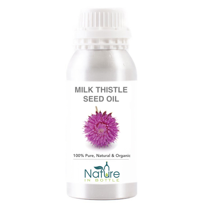Milk Thistle Seed Oil Organic Silybum Marianum