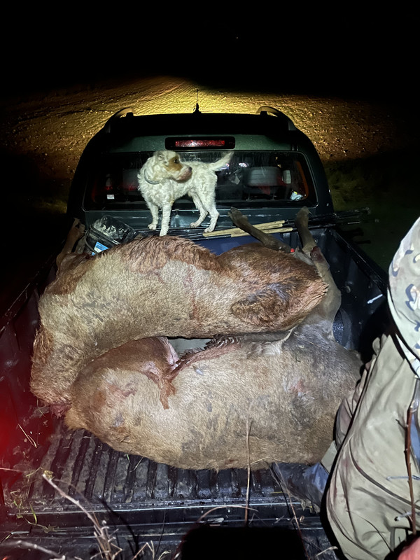 410B0C5A-7B08-4F1C-BF70-BE788AAB21EF