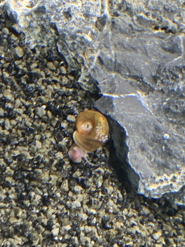 29AF7349-8005-4427-AACD-57267717543E