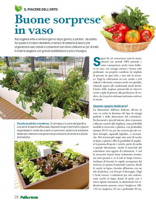 Pol Ver Mar 2025 (5)