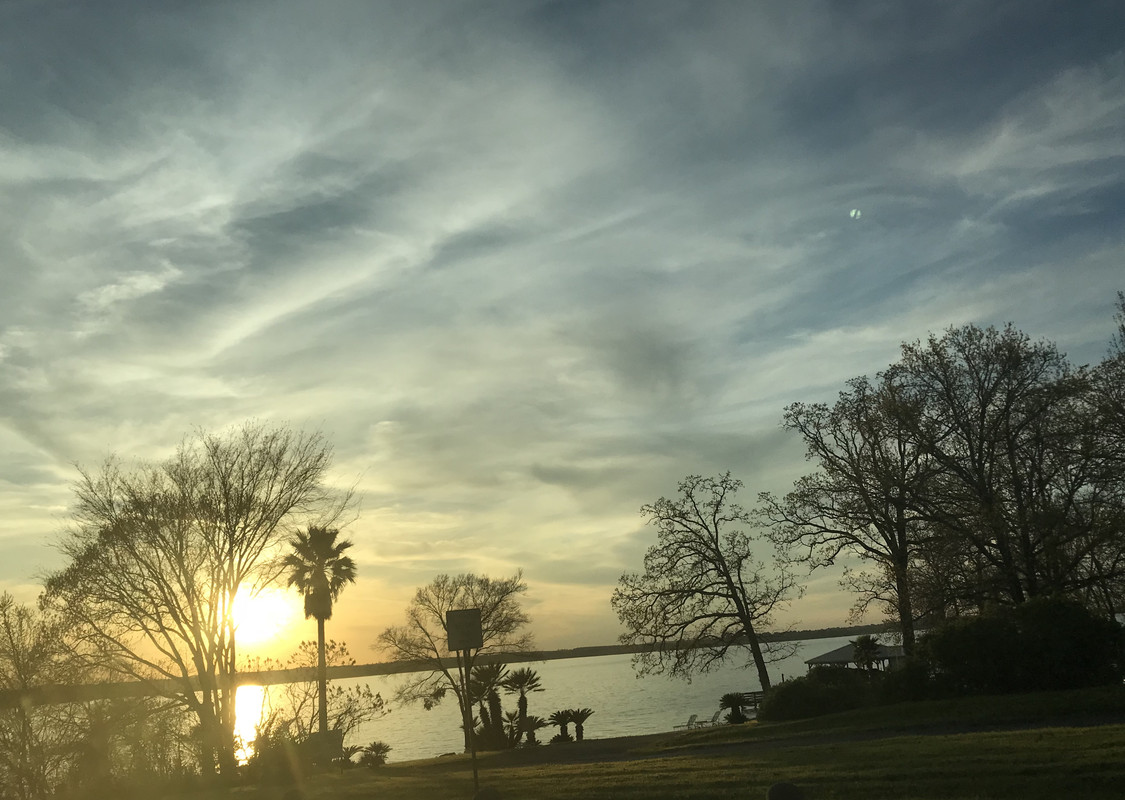 5F1FF76E-CFA0-4D0C-BAEE-FBF21EE0F70D