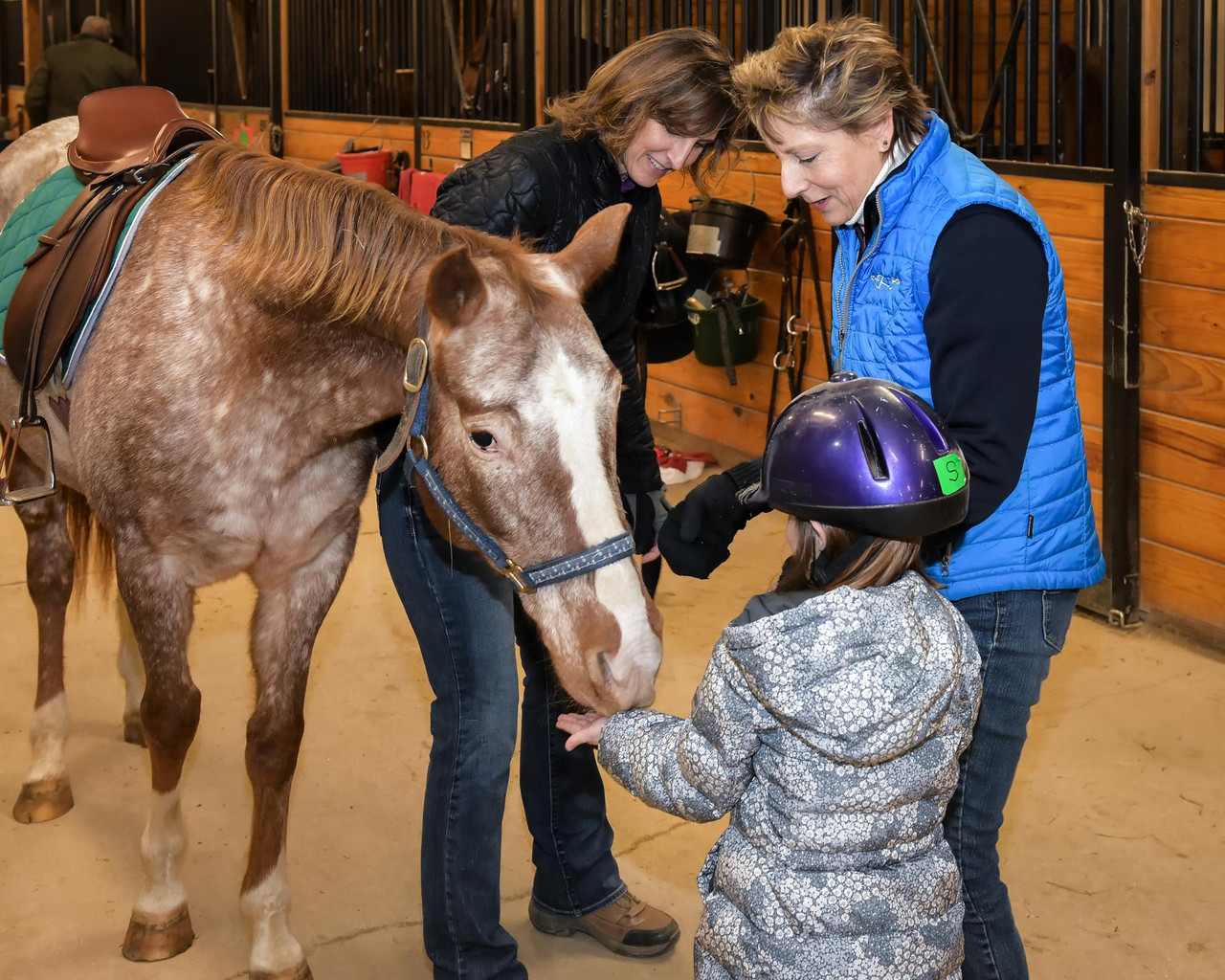 Equestrian Connection collage photo