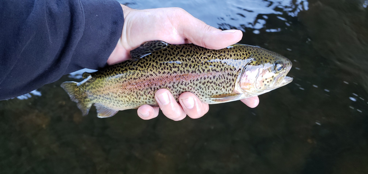 20190615_103524