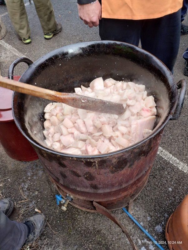 viber_image_2024-02-10_18-33-08-664