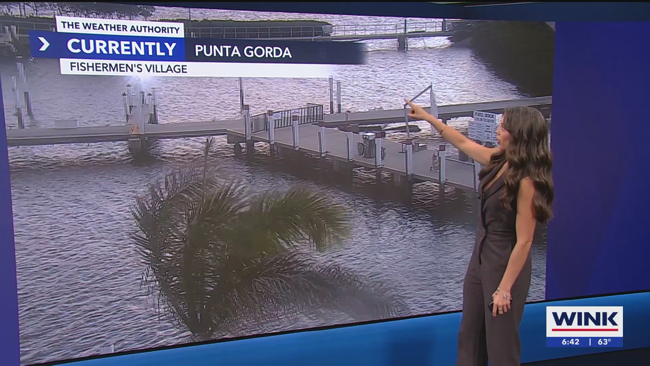 WINK News at 630am_20250306_11301200.ts_snapshot_13.45.176