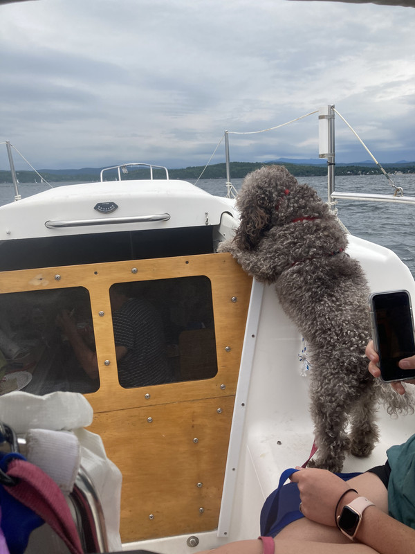 6006E5F5-652C-4927-BDB5-6A3EDC416D32