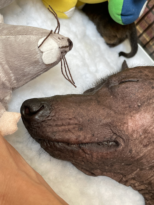 ACF060A3-EE33-41CB-99AD-6C2969D194E1