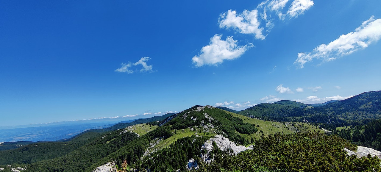 205588166_5686441478064465_370676707643201957_n