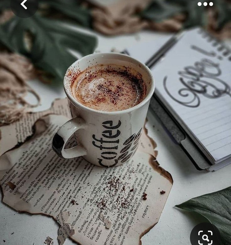 Screenshot_20230603_215700_Pinterest