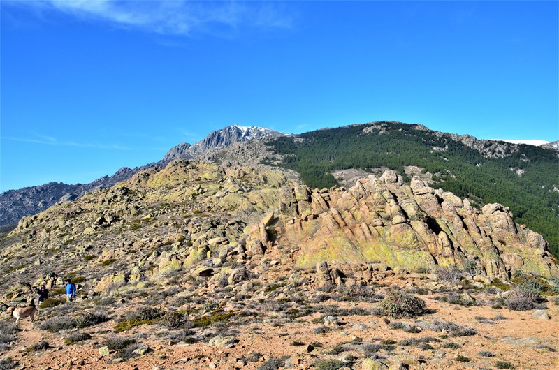 RUTA LOS PORRONES-11-1-2014-MADRID - Paseando por España-1991/2016 (33)