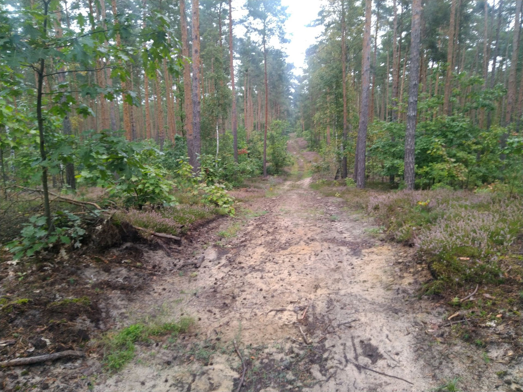 IMG-20210918-085105.jpg