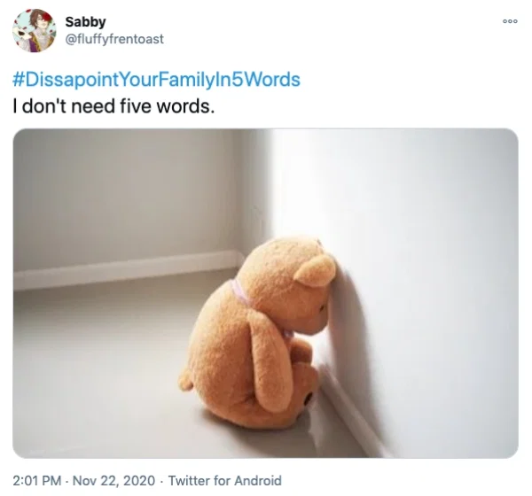 People-On-Twitter-Answer-Trending-Disappointyourfamilyin5words-Humor-36