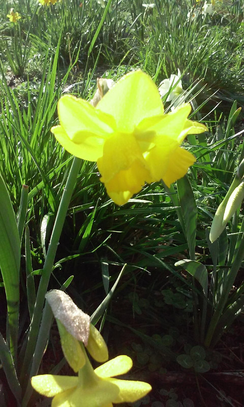20150324_092857