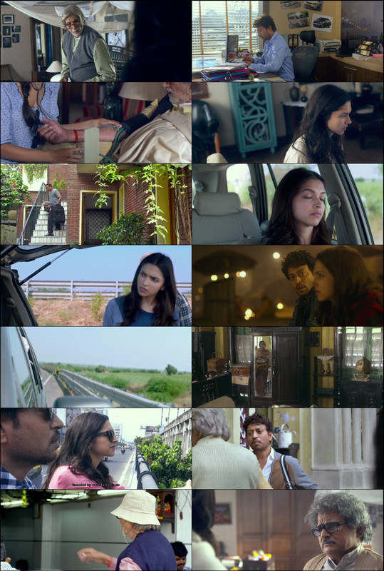 Piku (2015) 1080p | 720p | 480p BluRay [Hindi (हिन्दी)] DD5.1 ESub