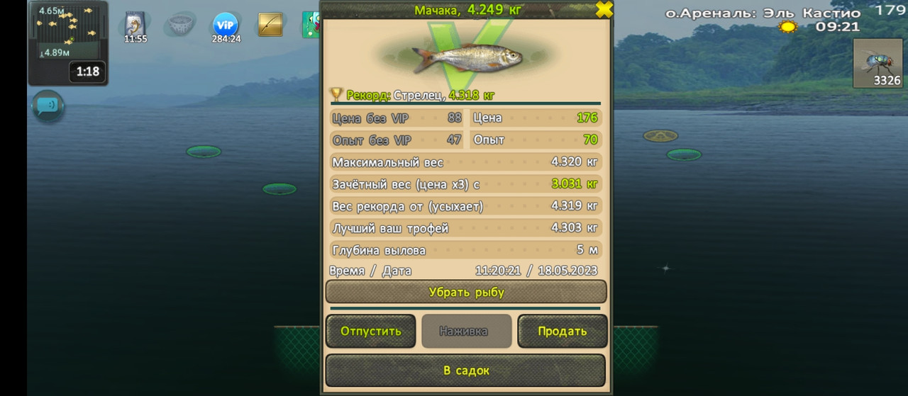 Мачака - Охотник на ведьм