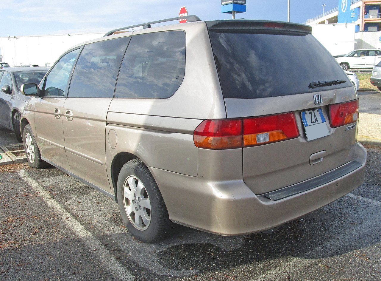IMG-8642.jpg