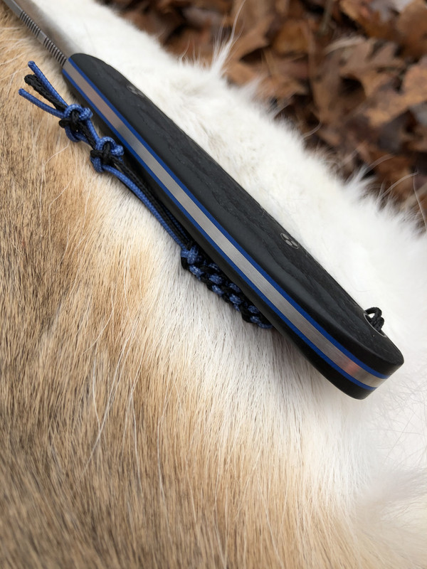 D418BC3C-1BF6-48E5-B176-16CE83CC8E88