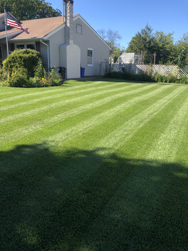 E214784A-A2B3-4C80-85C1-F4D60EDCBD80