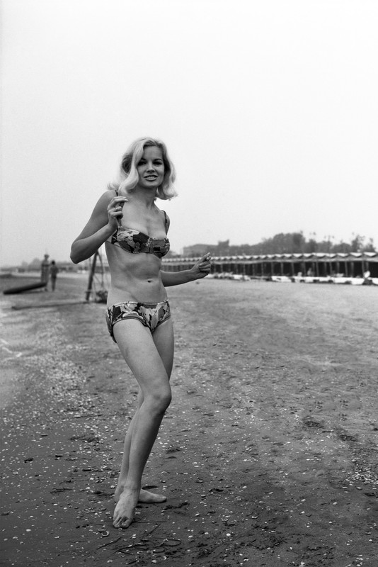 carroll baker c41