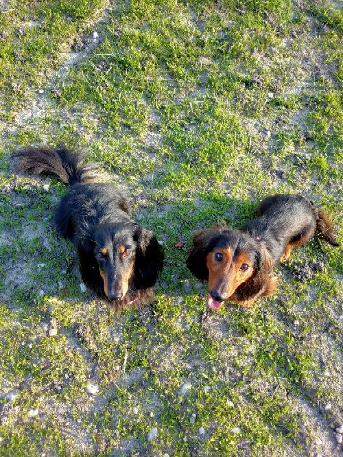 [Image: IMG-20240922-205406.jpg]