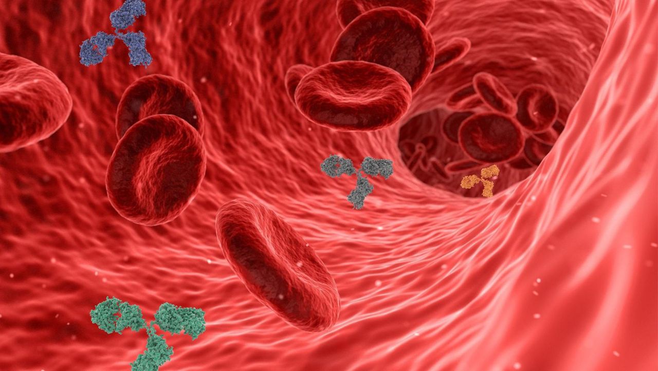 scoperte microplastiche vasi sanguigni umani